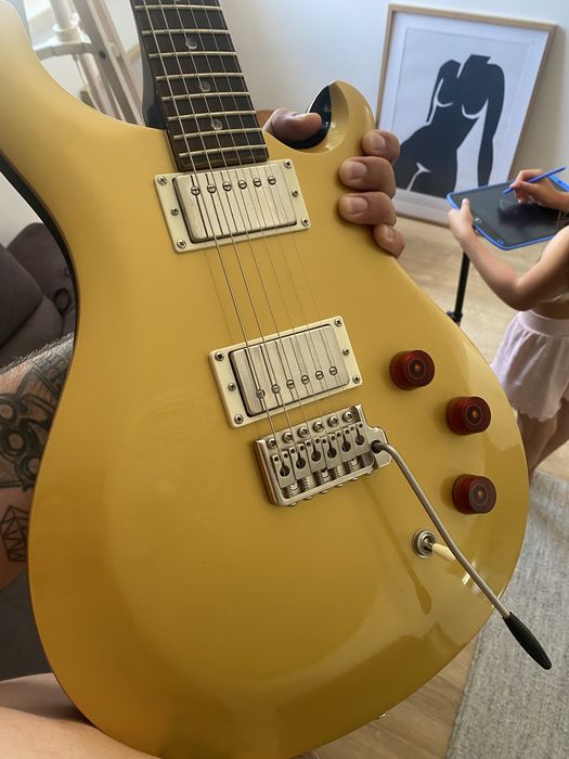 PRS DGT Moons Gold top