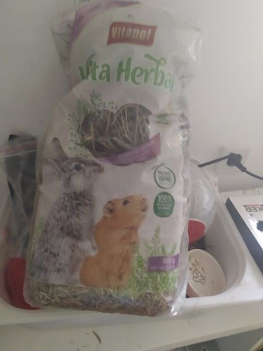 Myszki domowe z klatką i dodatkami