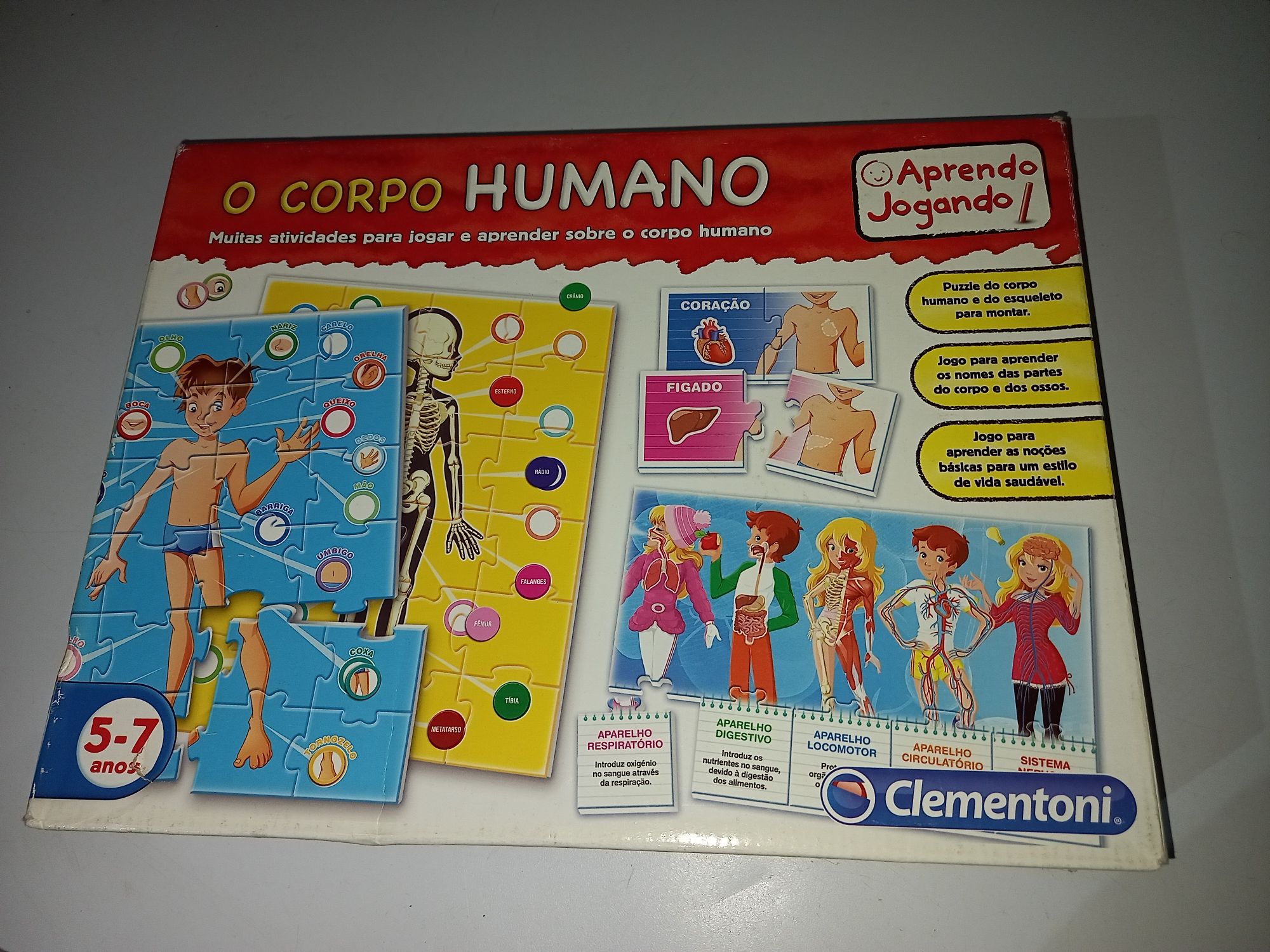 Jogo de Tabuleiro com Perguntas e Respostas do Corpo Humano com