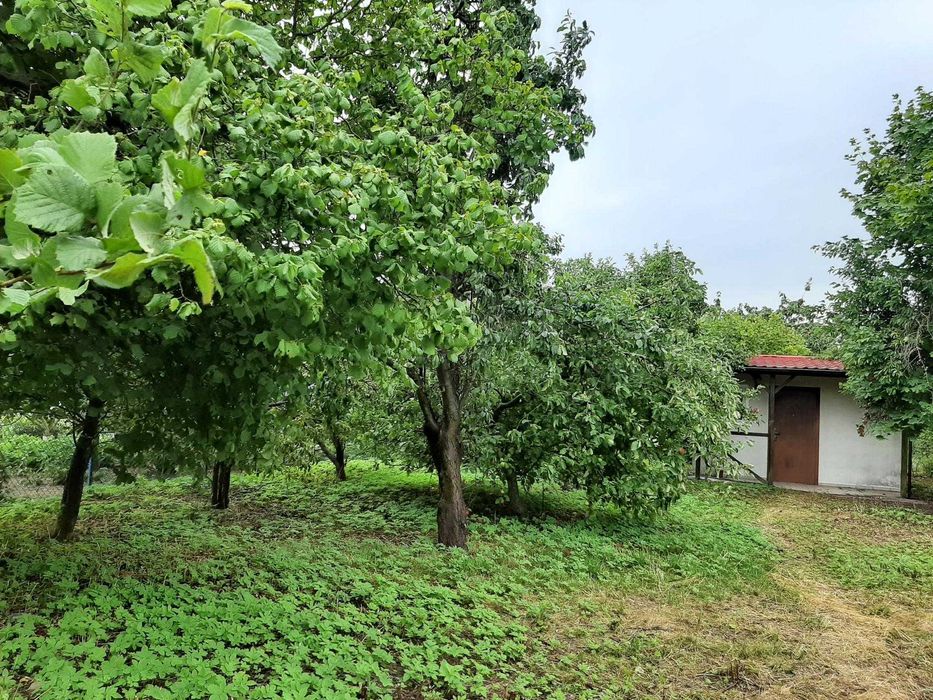 Sprzedam działkę ogrodową - Widok 5