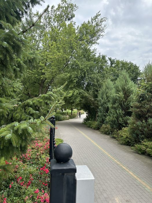Zdjęcie 8