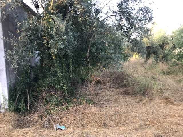 Armazém /Oficina com terreno