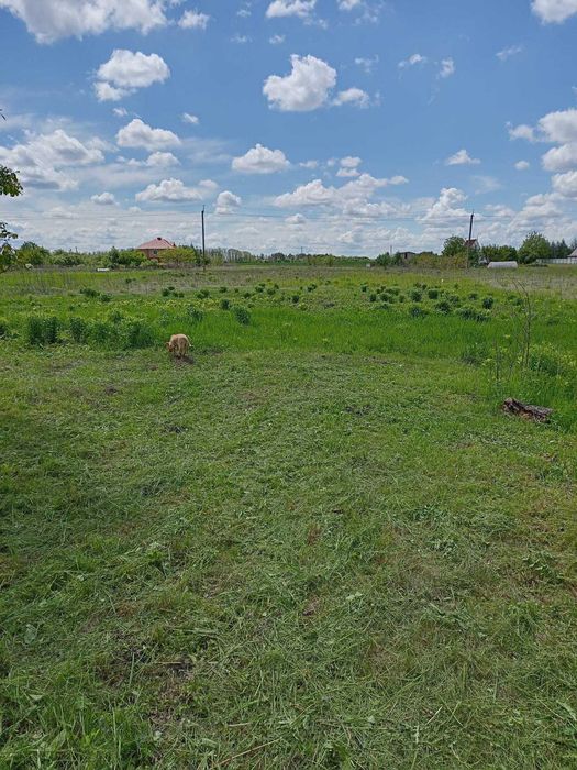 с. Стайки, будинок, земел. ділян. під забудову 20 сот. вул. Зелена 92