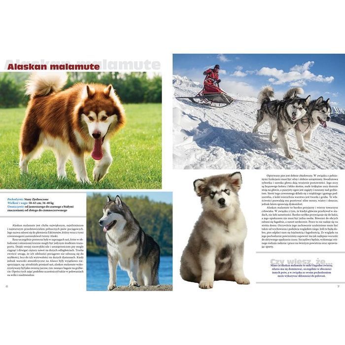 Psy Rasowe. Podręczna Encyklopedia dla Dzieci 96 stron