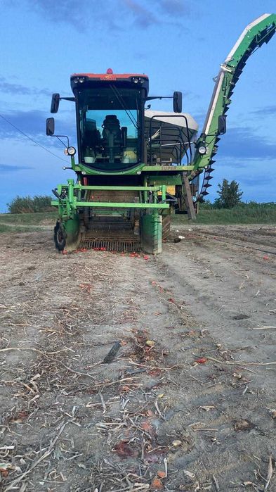 kombajn do pomidorów Guaresi G40 super