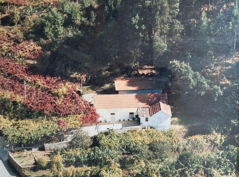 Casa T2 + terreno (5000m2)