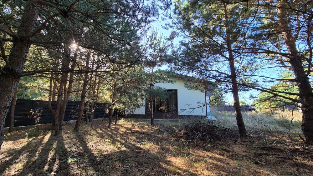 Будинок 130 м² на 9,27 сотки серед сосен — централізовані комунікації, покращена комплектація, огороджена територія