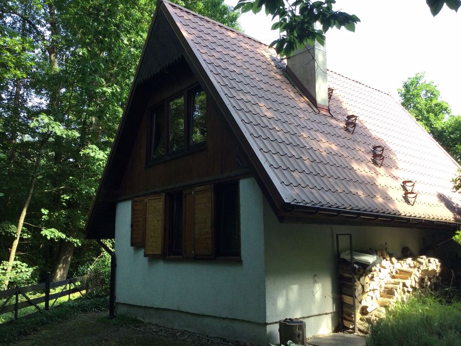 domek letniskowy otoczony lasem