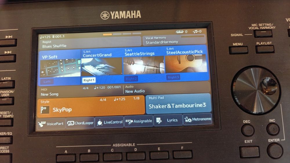 Yamaha PSR SX 900
