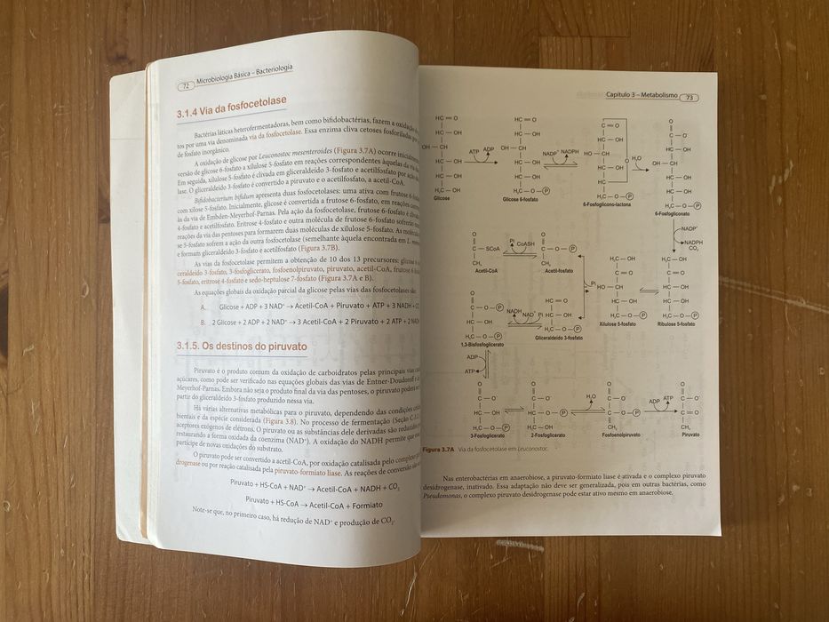 Microbiologia Básica — Bacteriologia — 2° Edição — Atheneu, 2018