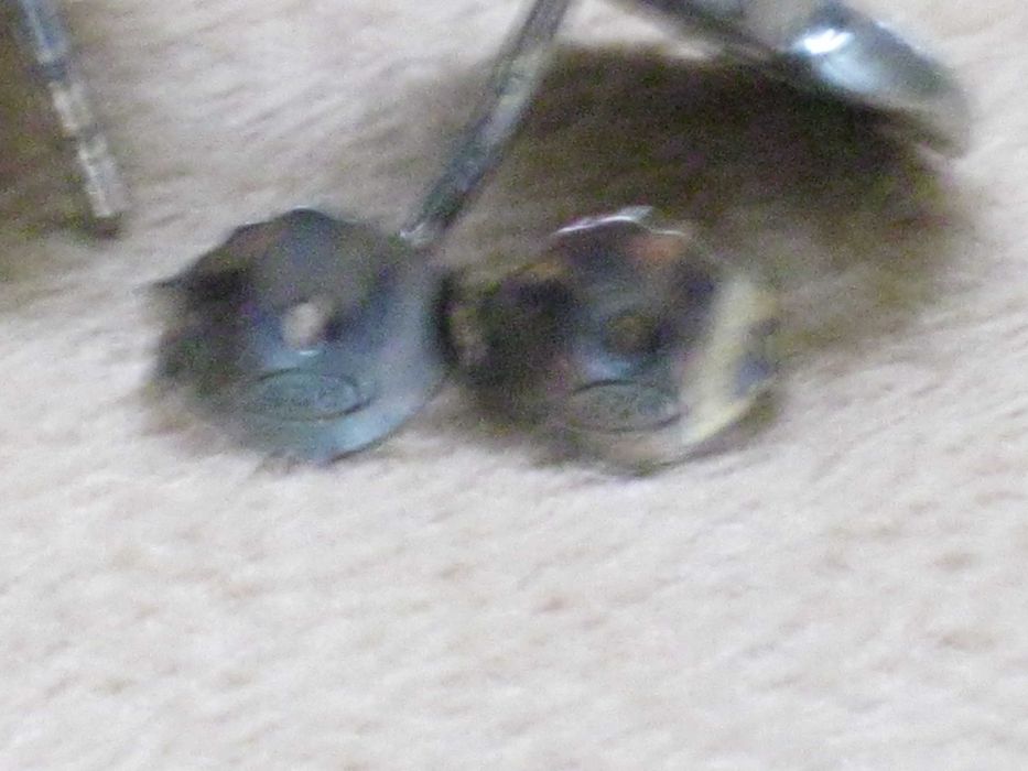 Brincos  Prata Maciça de Lei 925`/.. C/Contraste