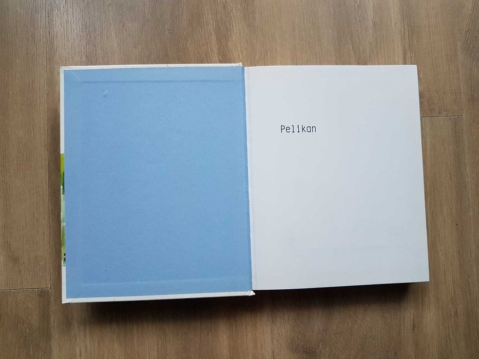 Pelikan Opowieść z miasta Leena Krohn Dwie Siostry 2008 rok akceptacja
