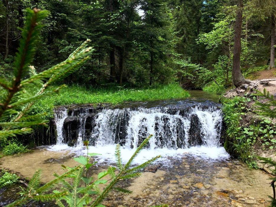 2os Domek z kominkiem taras w drzewach w lesie na odludziu WiFi klima