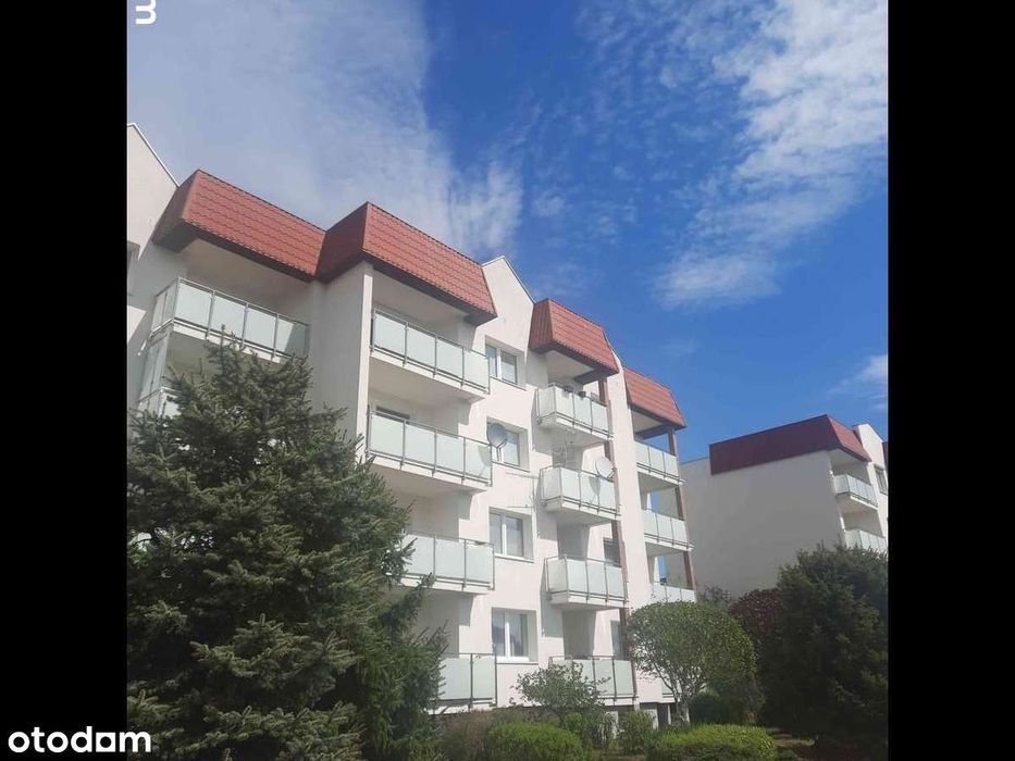 Jasne przytulne mieszkanie, obszerny balkon i duża piwnica w cenie.