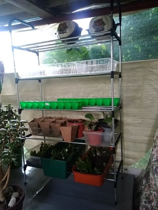 Поличка універсальна розбірна пересувна  для розсади  квітів, речей, одягу