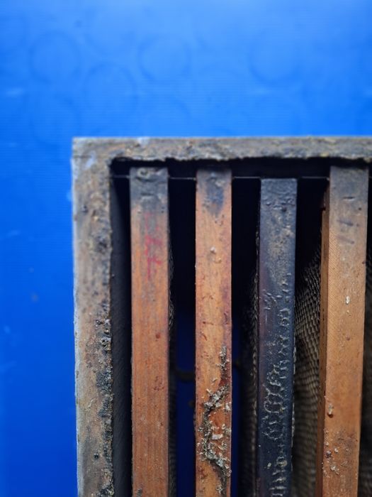 Meias alças abelhas