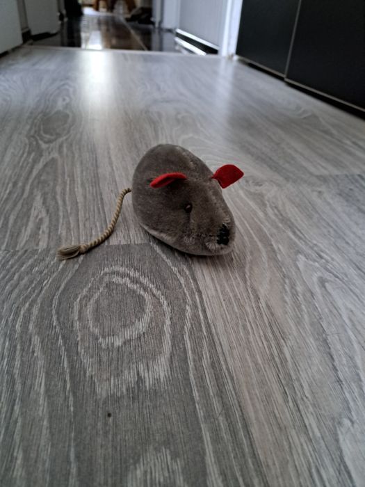 Мишка сіра, іграшка для кота