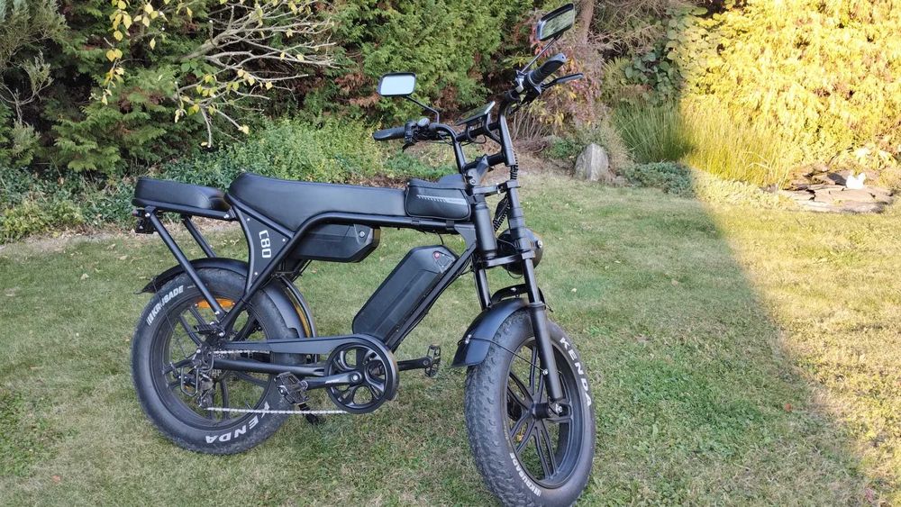 Fatbike-Electic v8