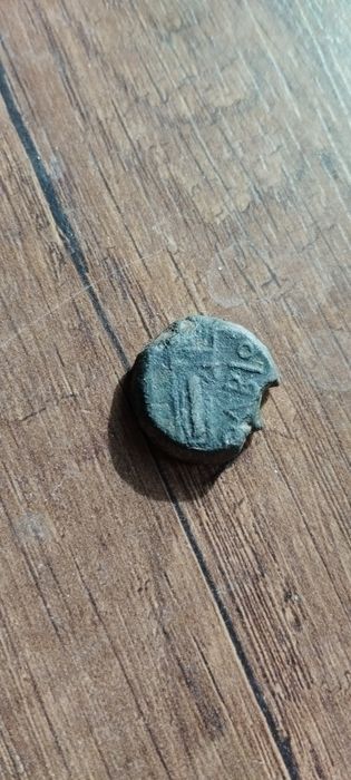 Античная монета Ольвии Борисфен.