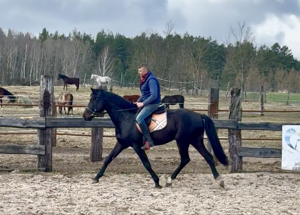 Kary trzylatek po Corvallo