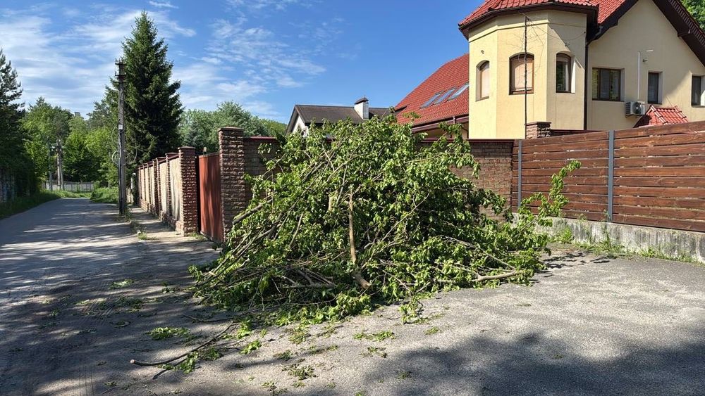 Вивіз гілок, будівельного сміття Новосілки. Вишгород. Лебедівка