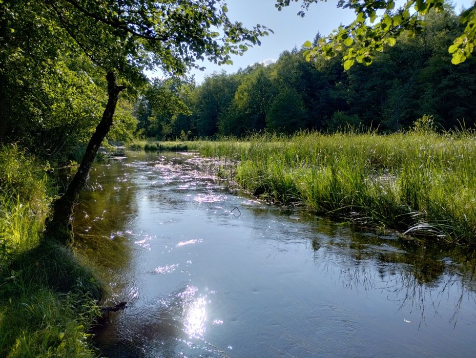 Offline camp ->noce pod gwiazdami