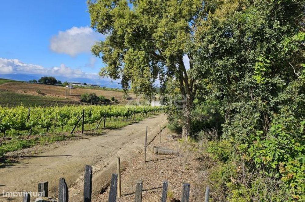 Terreno, Favaios
