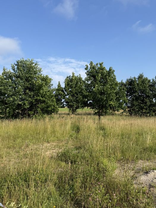 Działki Brajniki k/ Warchały z warunkami zabudowy.