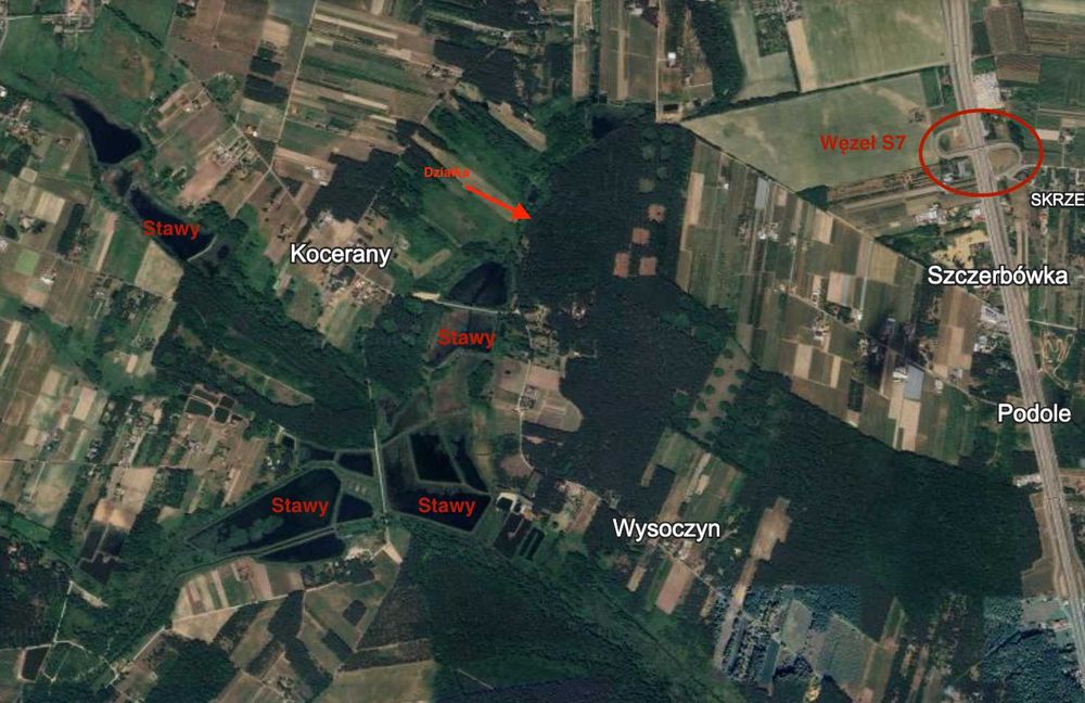 Działka w lesie z pozwoleniem na budowę i projektem. 40 minut dojazdu do centrum Warszawy - 2km od S7 - Widok 4