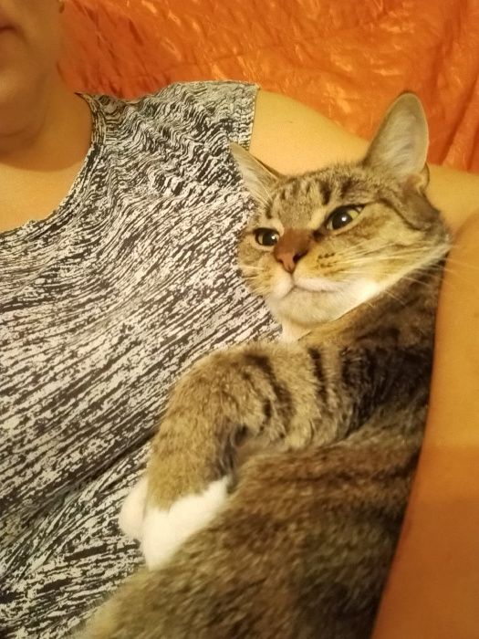 Psotka z Fundacji MIASTO KOTÓW