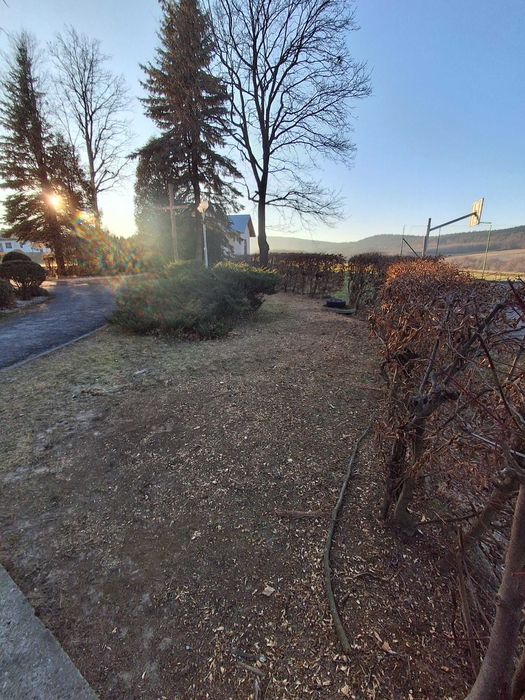 Frezowanie Karp Usuwanie Korzeni Pni Drzew Frezarka do Pni