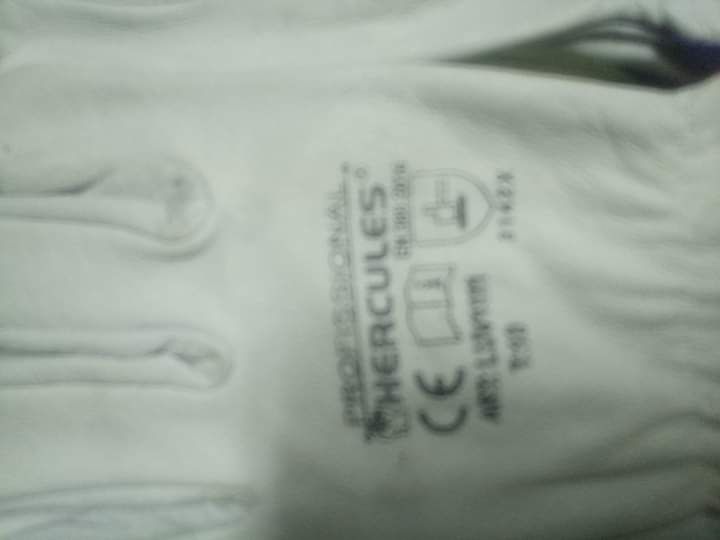 luvas de pele números disponíveis são 8/9/10/11/12