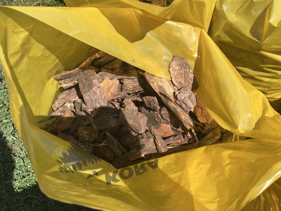 Kora sosnowa sortowana