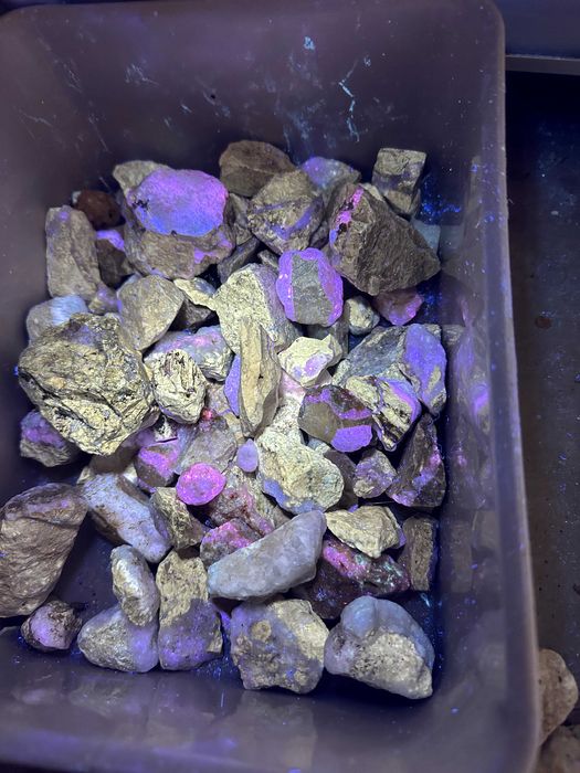 Fosseis Pedras e cristais raros