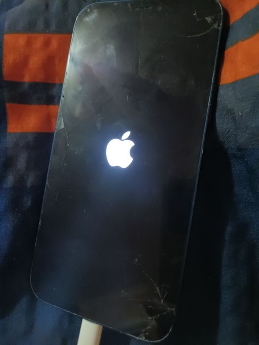 Apple iPhone 12 не вкл