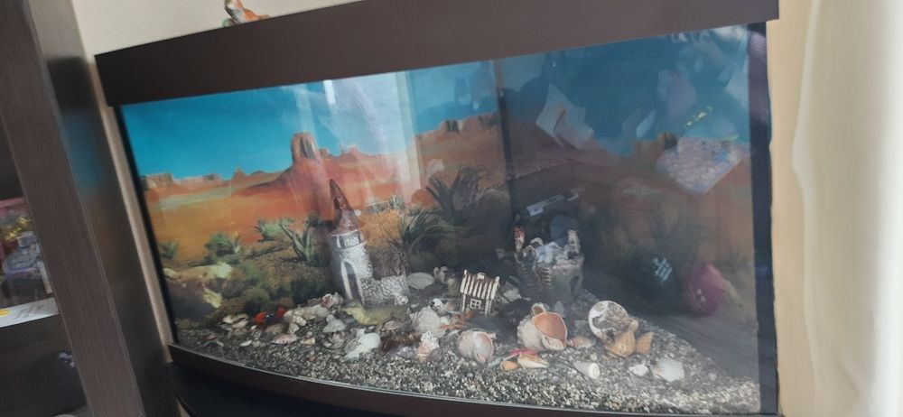 Продам угловой аквариум 360 л.