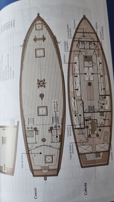 Caravela Tropical de João Céu e Silva