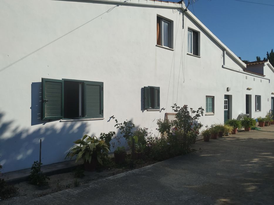 Aceitam-se idosos casa particular