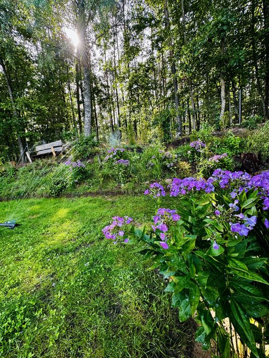 FERIE!! Domek na kaszubach,  Jacuzzi i Sauna na wyłączność