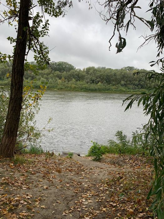 Продаж!!!Будинки на 40 сот. в м.Остер.До Десни 100м.