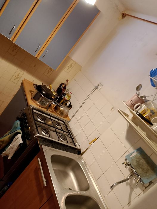 Zdjęcie 8