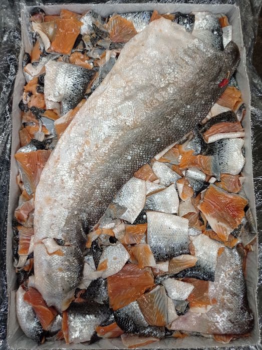 Корм для собак. Корм для тварин. Шкури лосося, омега-3, кальцій, білок