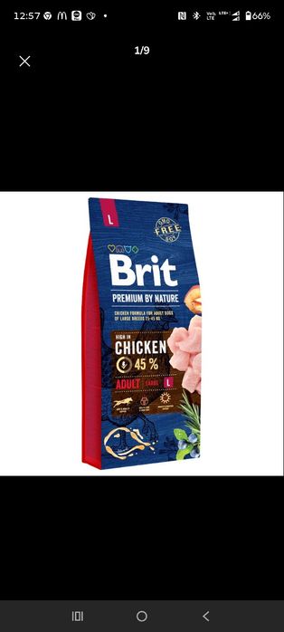 Karma dla psa brit