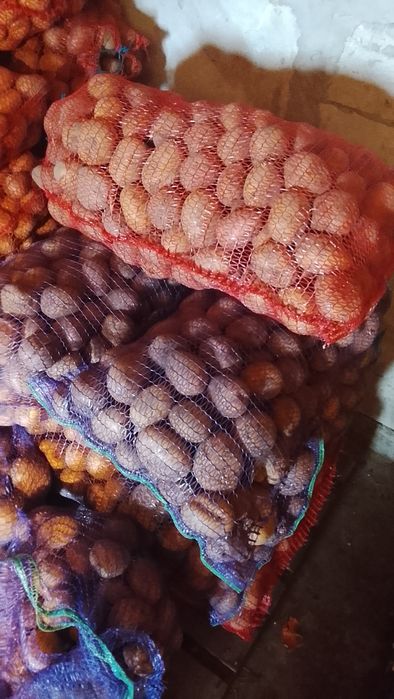 Продам картоплю.