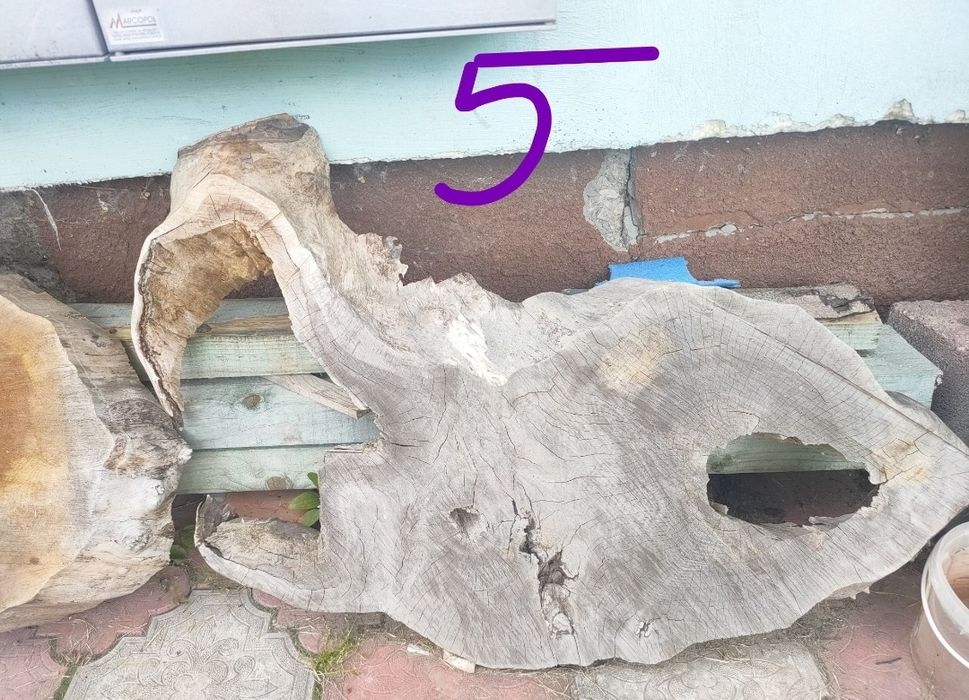 Blat w kształcie owalnym orzech