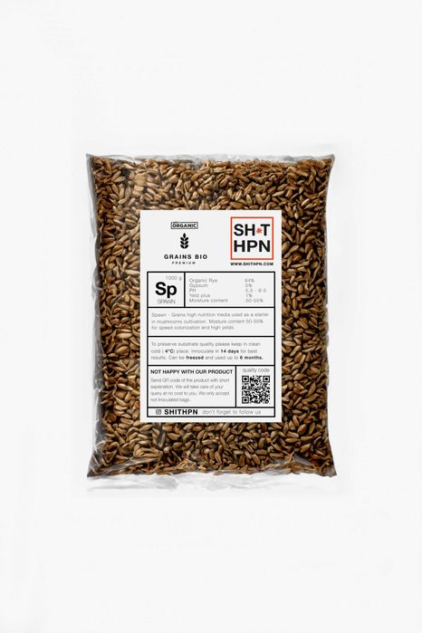 Ziarno do uprawy grzybów XXL 1kg/2.4 l I Grow Kity I Płynne kultury