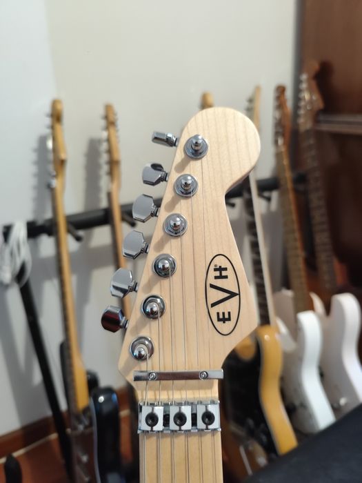 EVH Striped, TROCA