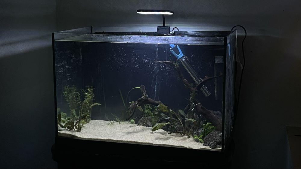 Aquário 85L  Montado C/ Móvel e Acessórios