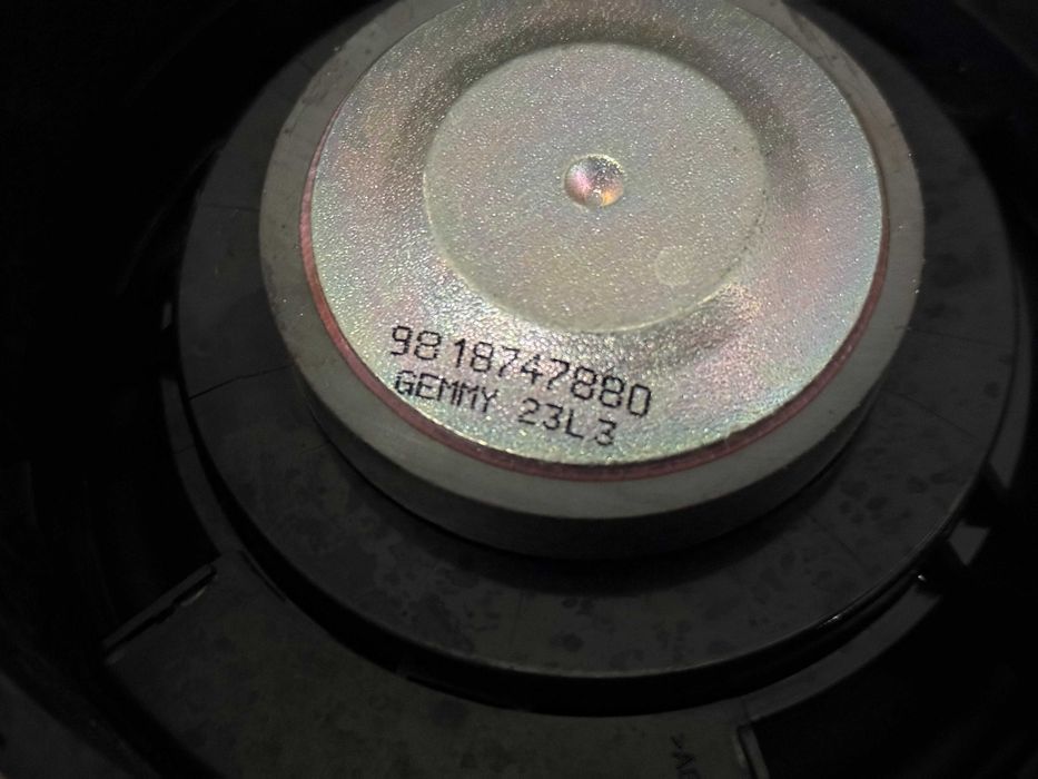 Coluna de Som Porta Frente Peugeot 208