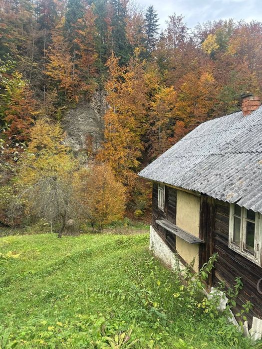 Продається земельна ділянка в Карпатах с.Виженка